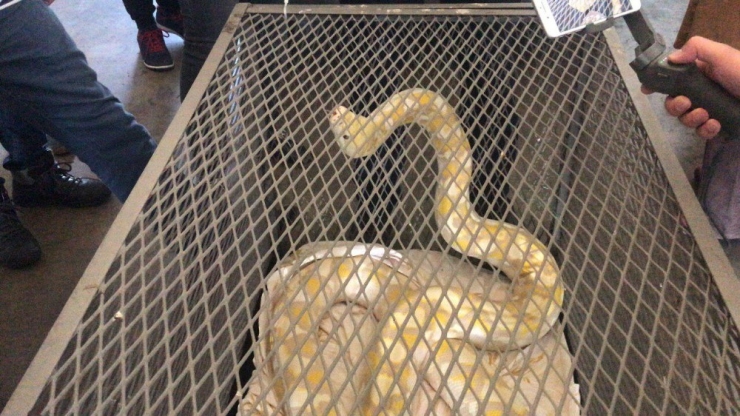 Kapıkule’de Bulgar Plakalı Araçtan Çıkanlar Şok Etti