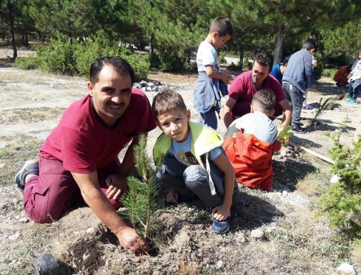 Kütahya’da Fidan Dikim Etkinliği