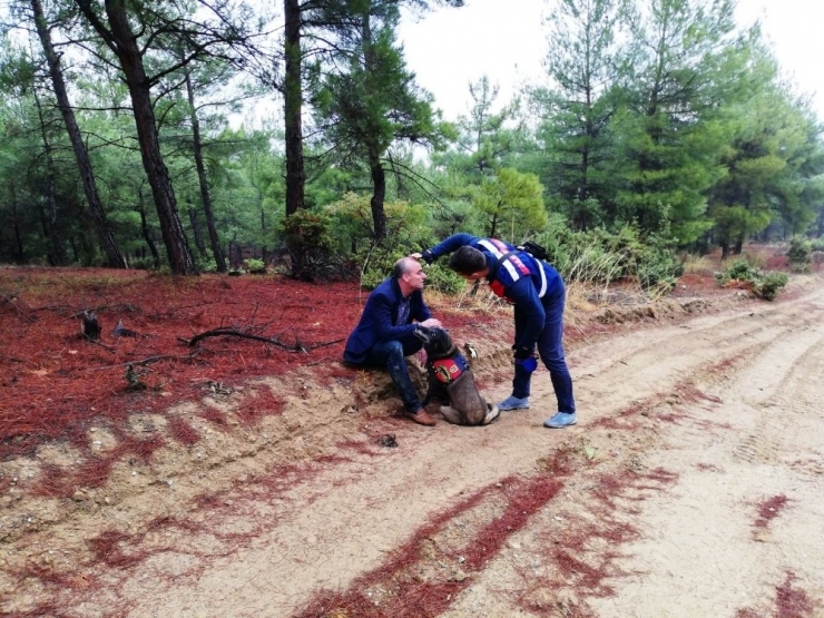 Ormanda Kaybolan Orman İşletme Şube Müdürü Zengin’i Takip Köpeği Buldu