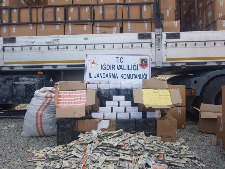 Iğdır’da Sigara Kaçakçılığı