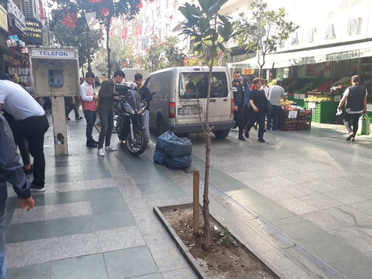 Ağacı Kırmak İstedi Ancak Başaramadı