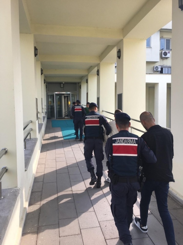 Fındık Hırsızları Yakalandı: 3 Tutuklama