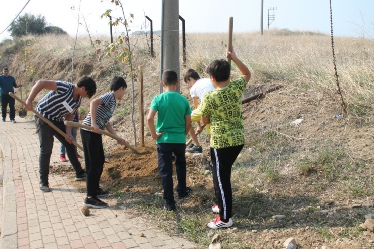 70 Fidan Toprakla Buluştu