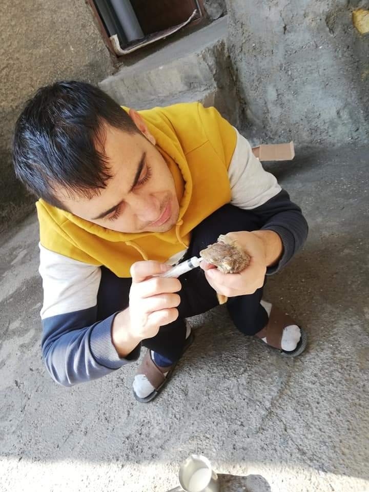 Yağmurdan Etkilenen Sincap Yavrusunu Evine Aldı