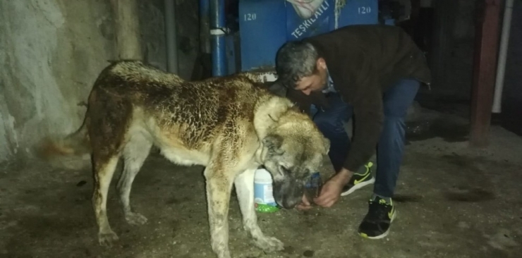 Tokat’ta 5 Ev Yangında Hasar Gördü