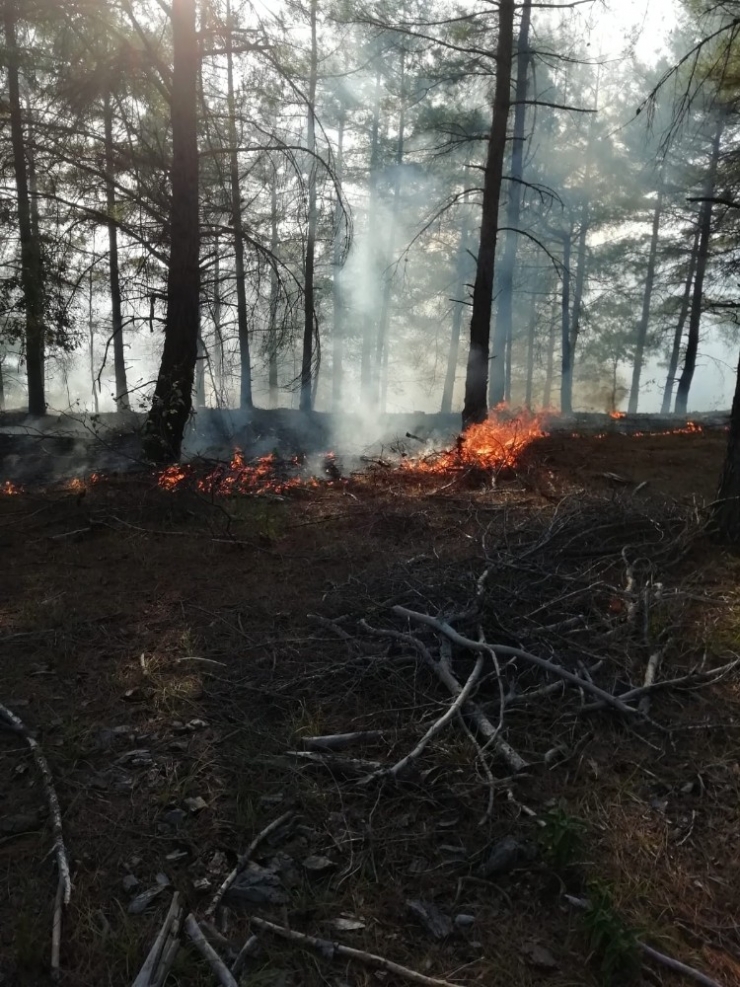 Yıldırım Düştü 20 Yerde Orman Yangını Çıktı