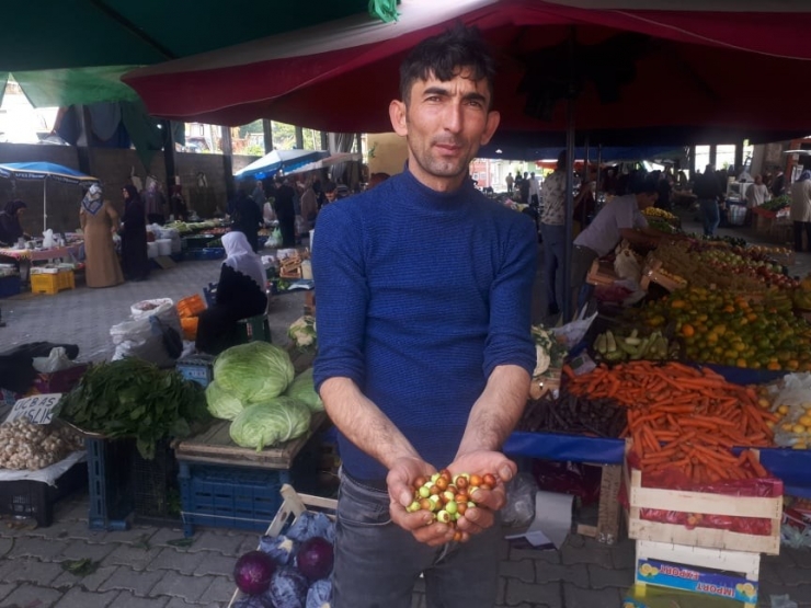 Akdağ’da Doğal Ortamda Yetişen Hünnap’a İlgi