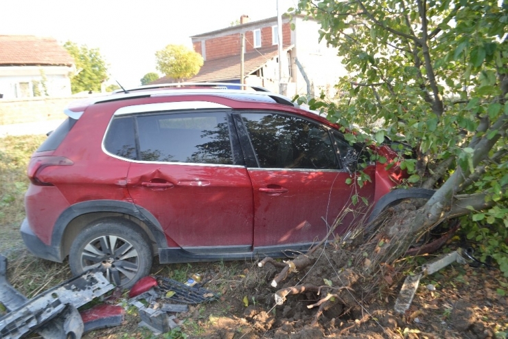 Meyve Bahçesinde Daldı: 3 Yaralı