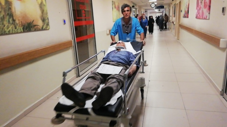 Meyve Bahçesinde Daldı: 3 Yaralı