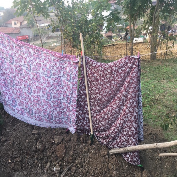 Anne Bahçesinde Define Avcılığı