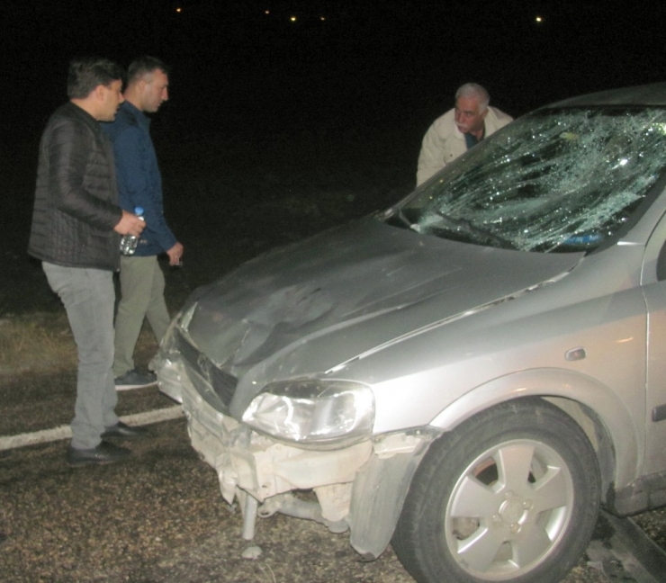 Müzisyen Kazada Öldü