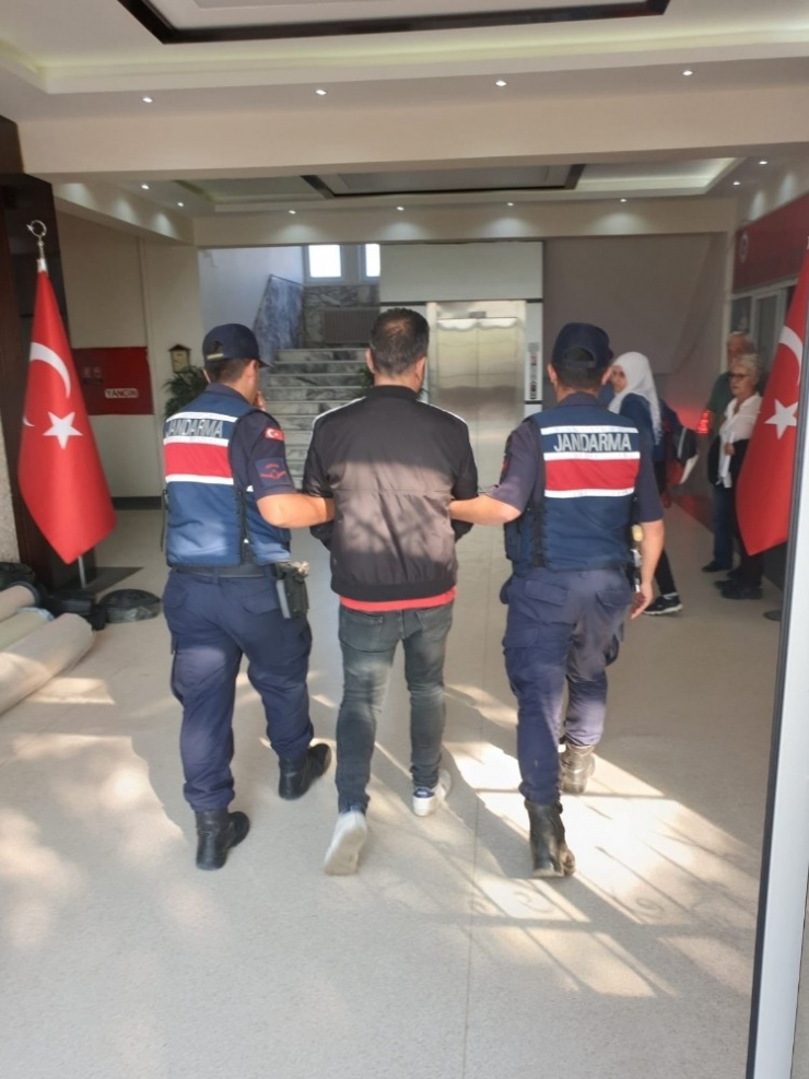 Bir Operasyonda Jandarmadan: 299 Göçmen Yakalandı