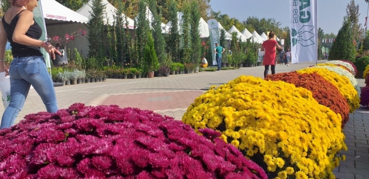 "Ödemiş’te 2 Bin Aile Bitki Üretimi İle Uğraşıyor"