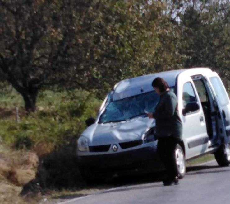 Hafif Ticari Aracın Çarptığı Geyik Telef Oldu