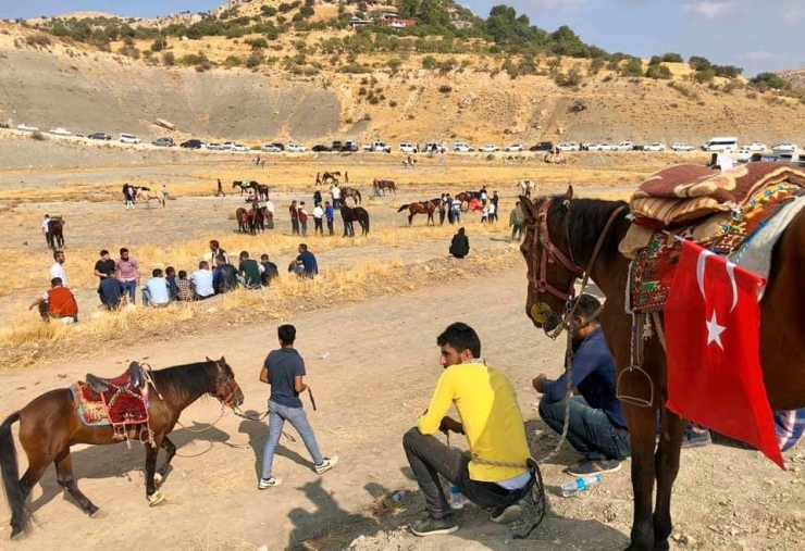 Mardin’de Rahvan Atları Yarıştı
