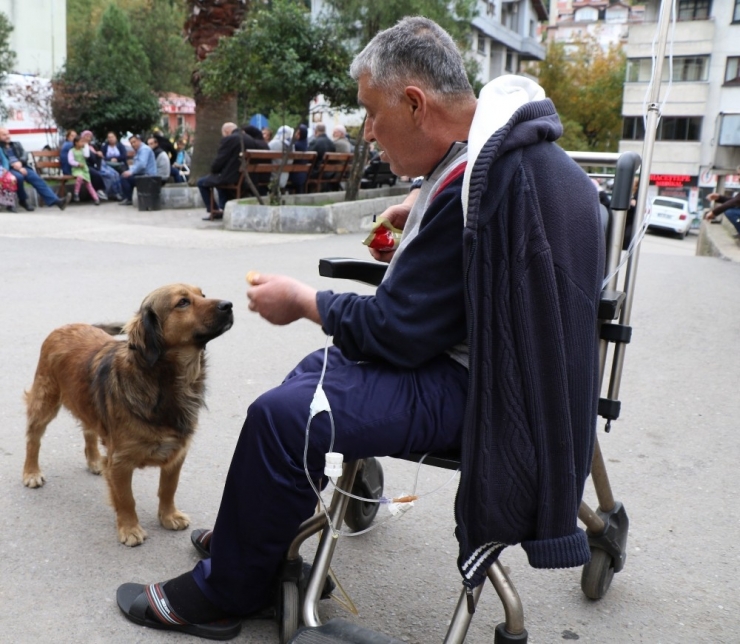 O İkiliden Geriye Sadece Fotoğraflar Kaldı