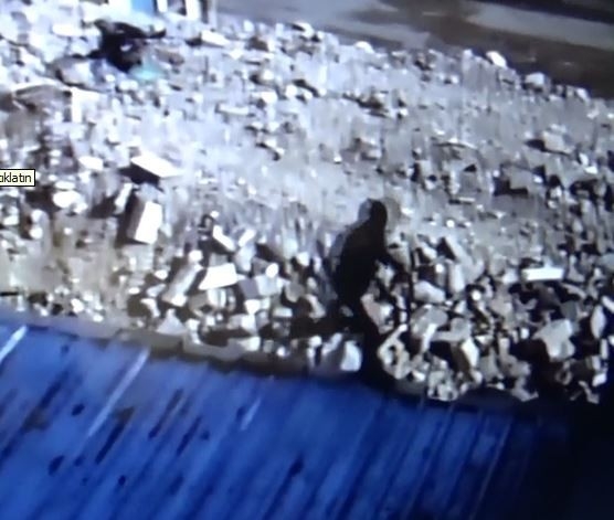 Örümcek Adam Gibi Hırsız