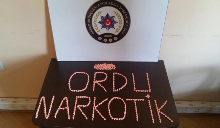Ordu’da Uyuşturucu Operasyonları Sürüyor