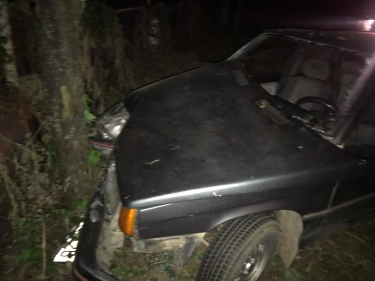 Kontrolden Çıkan Otomobil Ağaca Çarptı: 2 Yaralı