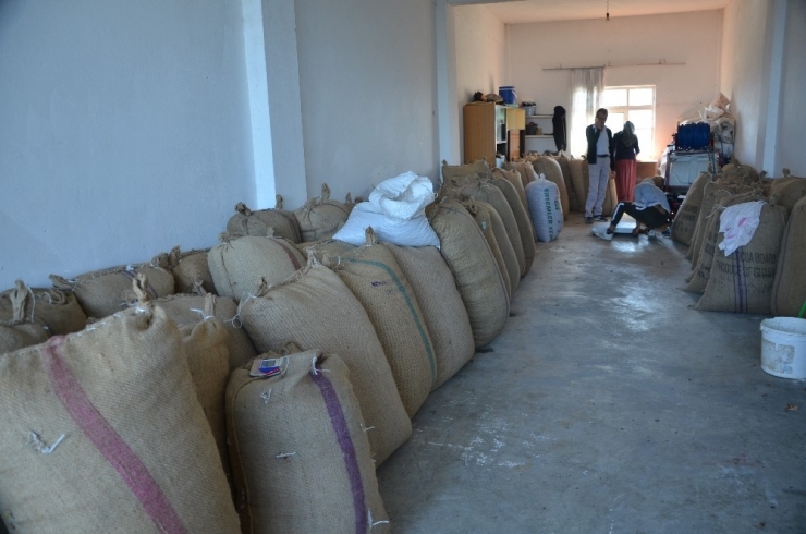 Panik Havası Kalktı, Fındık Fiyatları Yükselişe Geçti