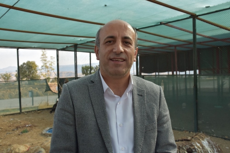 Şırnak’ta Nesli Tükenme Tehlikesi Altında Olan 2 Örümcek Maymun Ele Geçirildi