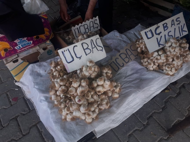 50 Yıldır Sarımsak Üretiyor