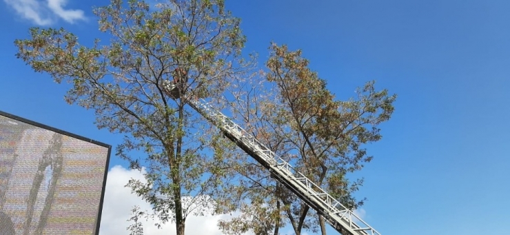 Tatvan’da Karga Kurtarma Operasyonu