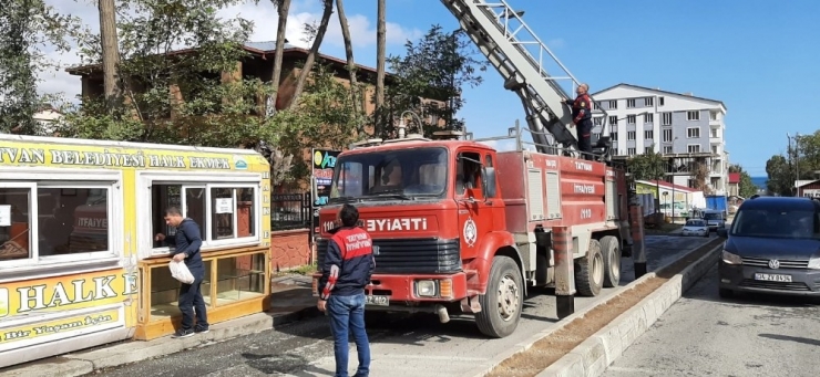 Tatvan’da Karga Kurtarma Operasyonu