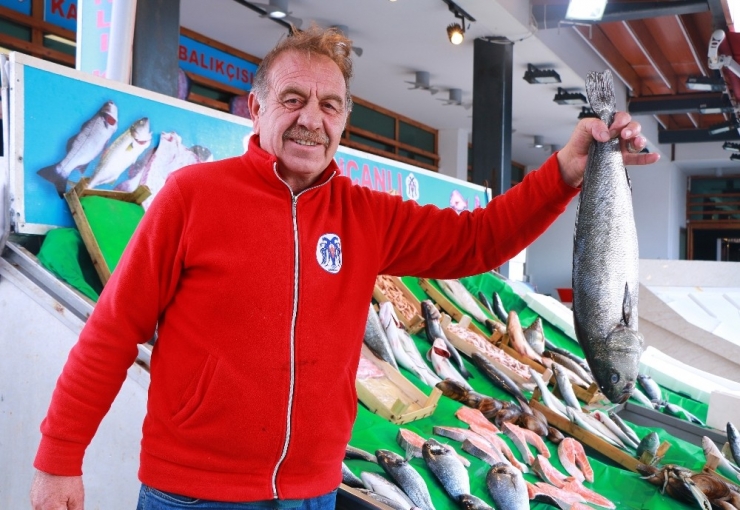 Balık Tezgahları Boş, Vatandaşlar Dertli