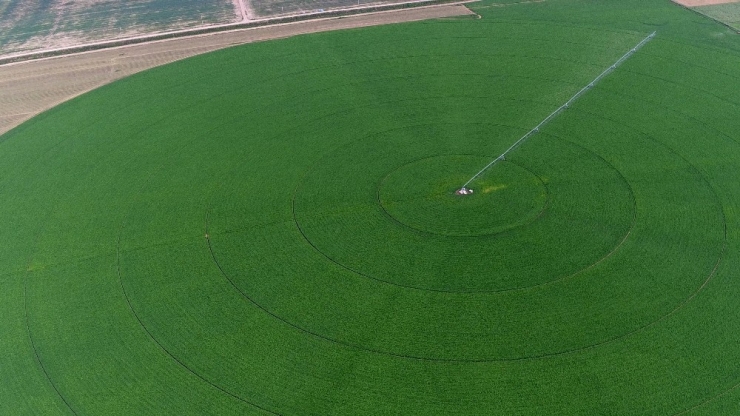 Amasya’da 234 Bin 330 Dekar Arazi Sulandı