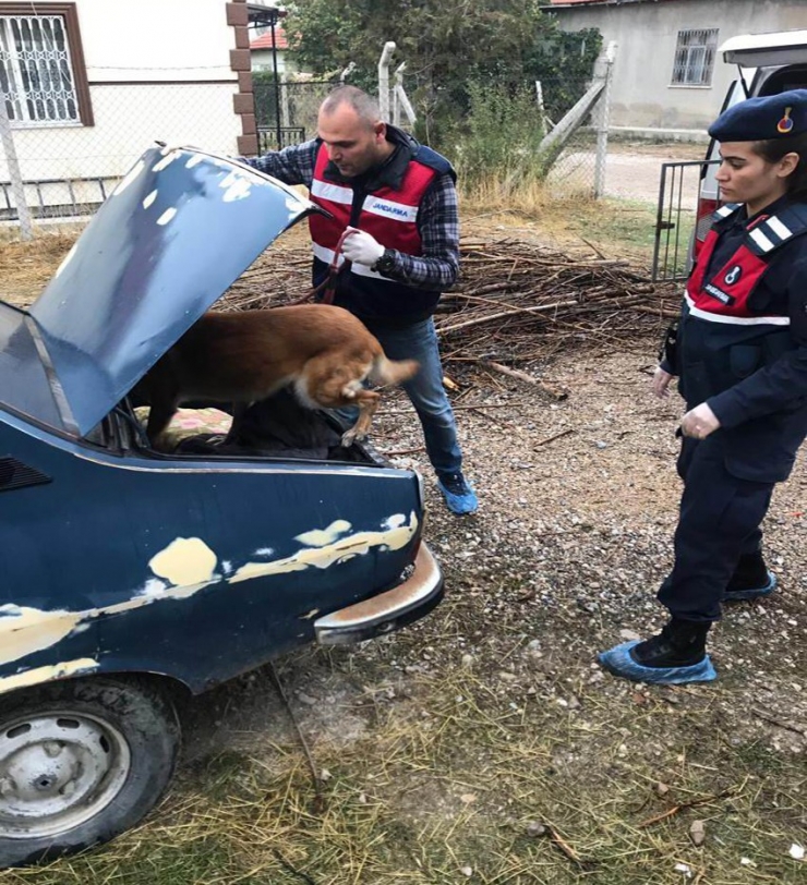 Konya’da Jandarmadan Zehir Tacirlerine Operasyon: 8 Gözaltı