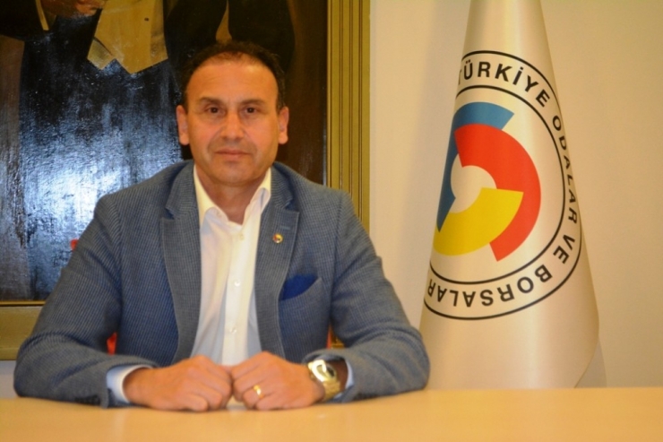 15. Ayvalık Uluslararası Zeytin Hasat Festivali Başlıyor