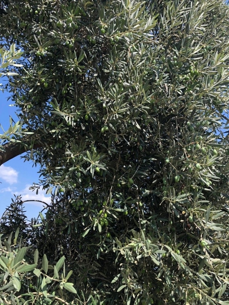 Atb’den Üyelerine Güzel Haber