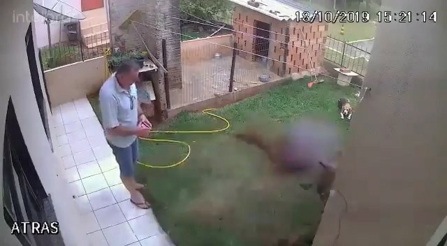 Haşerelere Çözüm Bulmak İsterken Bahçeyi Havaya Uçurdu