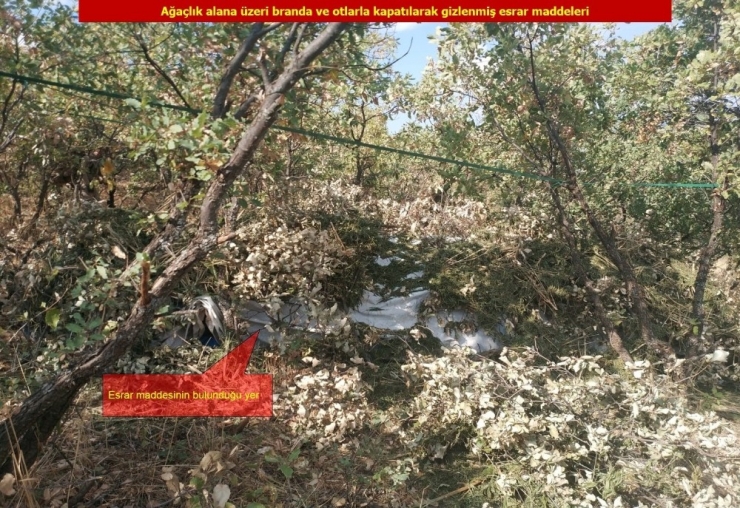 Diyarbakır’da Terörün Finans Kaynağına Büyük Darbe