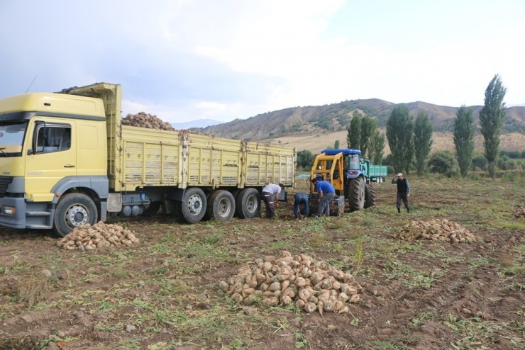 Proje İle Köyün Sulama Alanı 4 Kata Çıktı