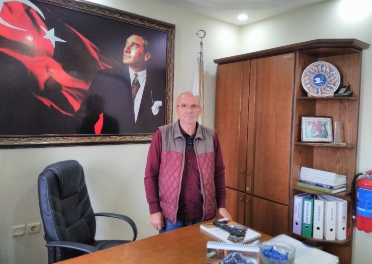 Erdek’te Zeytin Alımları Başlıyor