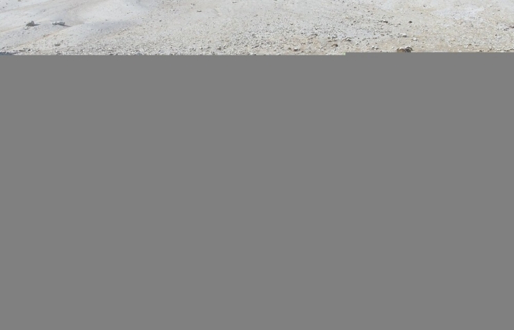 Baba Oğul Zirveye Çıktı