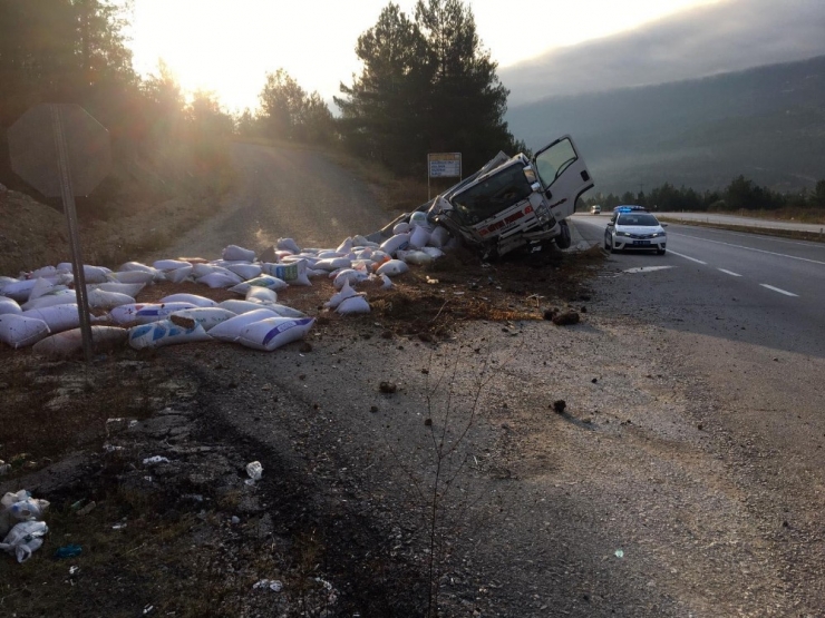 Yoldan Çıkan Kamyon Devrildi: 2 Yaralı