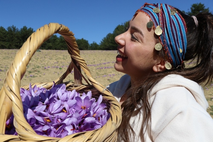 Mutluluk İksiri: Safran