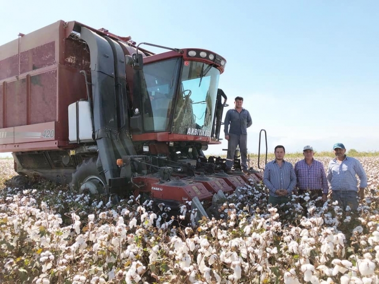 Pamuğa Tonda 800 Liralık Destek