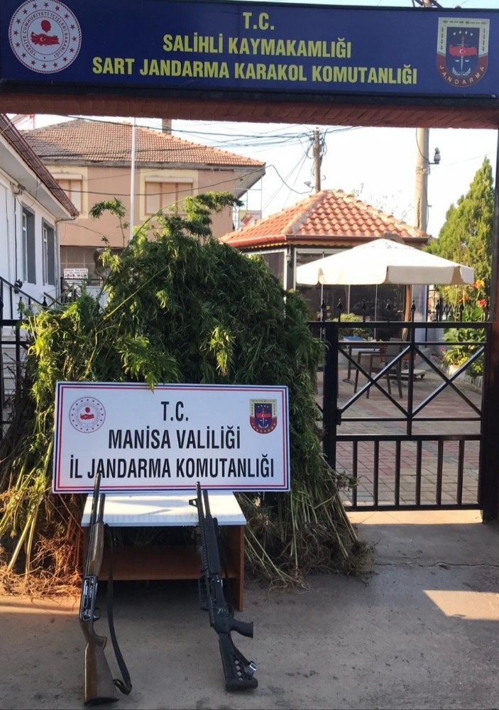 Ormanlık Alana Kenevir Ekenler Tutuklandı