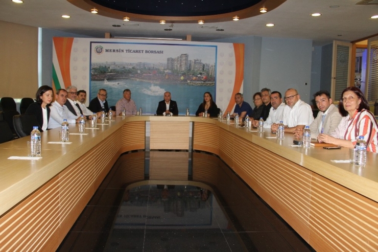 Çukurova’da Limona Değer Kazandıracak Proje Başlıyor