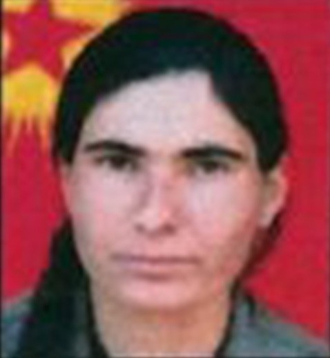 Mit Ve Tsk’dan Pkk’ya Ağır Darbe