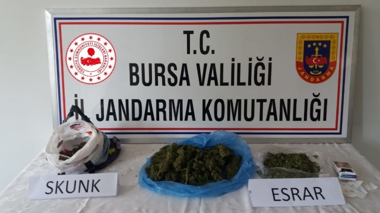 Uyuşturucu Maddeler Klozetten Çıktı