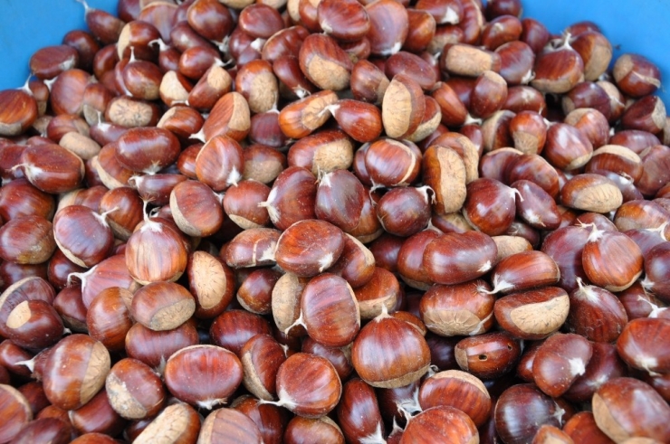 Simav Kestanesi Tezgahlardaki Yerini Aldı