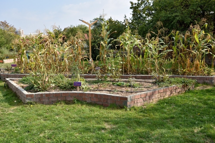 Tepebaşı Belediyesi’nden Çocuklar İçin Ekoloji Okulu