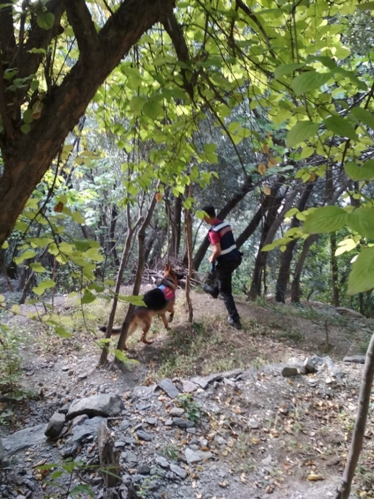 3 Gündür Kayıp Olan Alzheimer Hastası Yaşlı Kadın İçin Arama Çalışması Başlatıldı