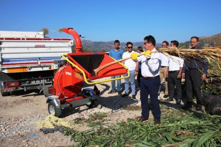 Doğadan Gelen Doğaya Geri Kazandırılıyor