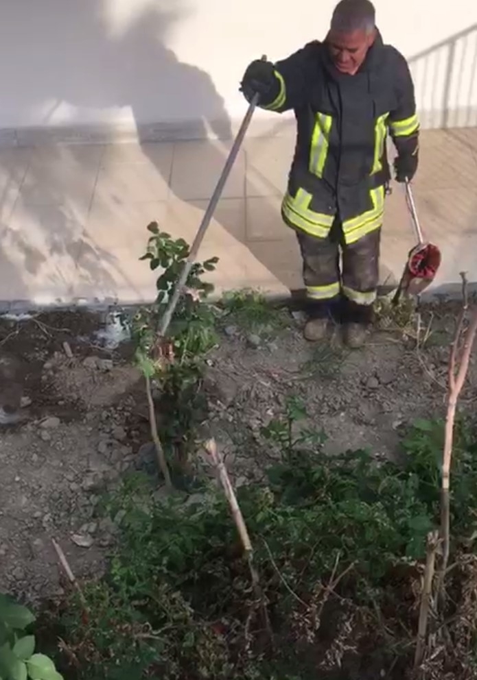 Buldan’da Zehirli Engerek Yılanı Paniği